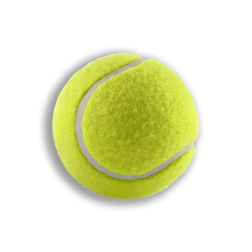 Tenis